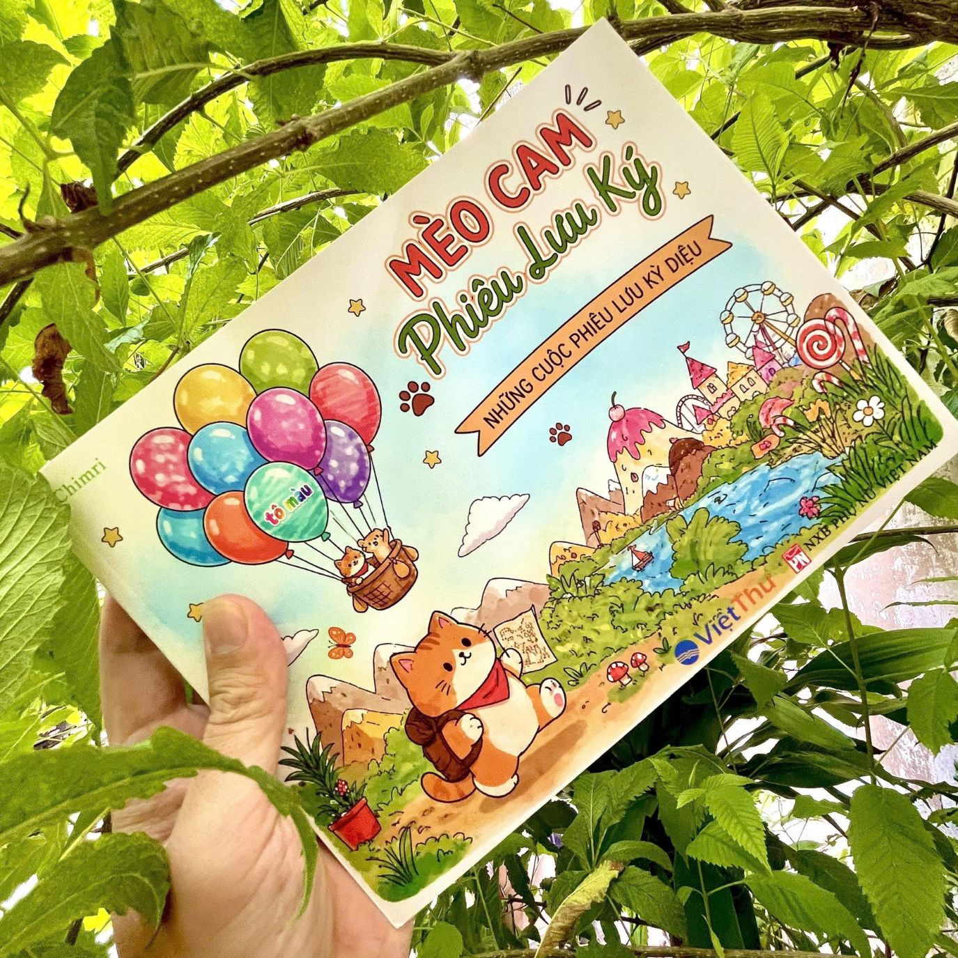Viet Thư Books