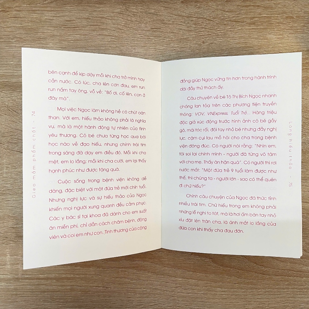 Viet Thư Books